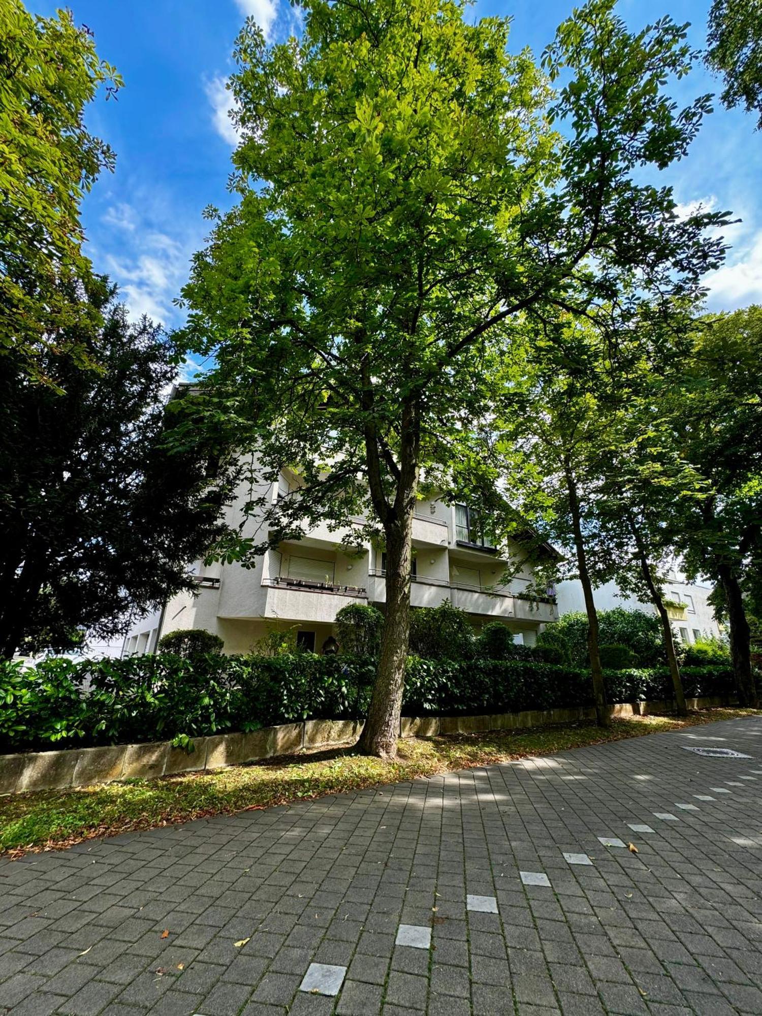 Apartment Roseninsel-apartment Bad Kreuznach